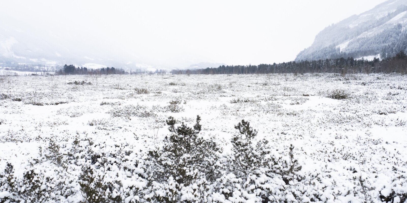 Schnei an der Steiermark | © picture alliance / imageBROKER | Karl-Heinz Schein