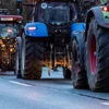 Bauereprotester a Frankräich gi méi intensiv | © picture alliance / Eibner-Pressefoto | Socher/ Eibner-Pressefoto