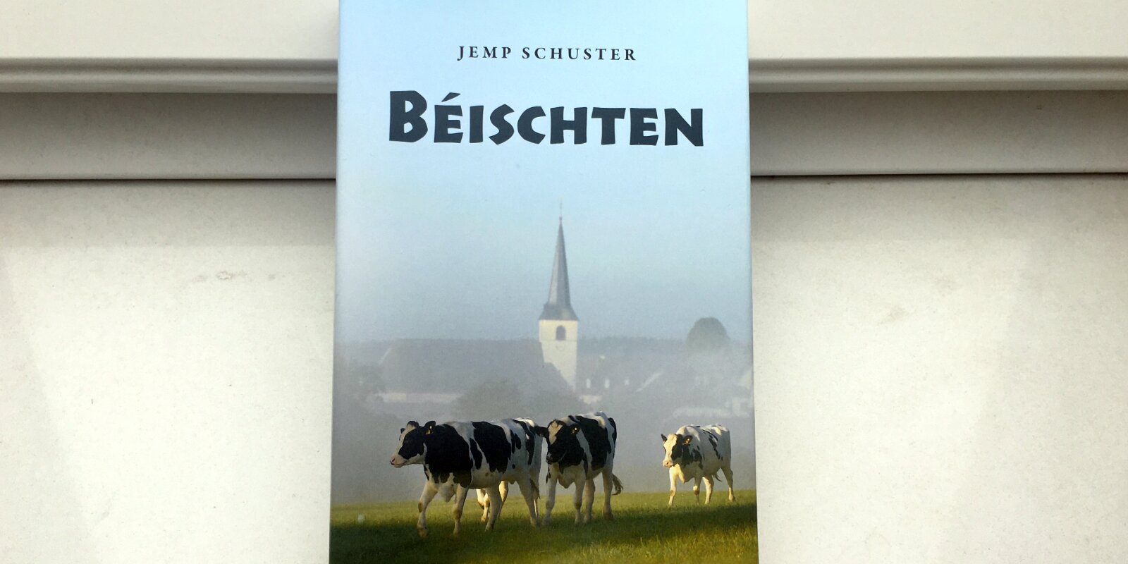Buchkritik: Jhemp Schuster - "Béischten"