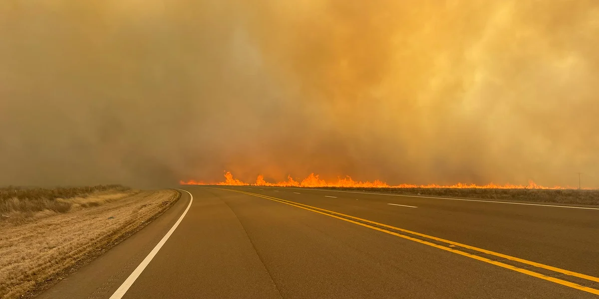 Bëschfeier Texas | © Foto: Texas A&M Forest Service / X