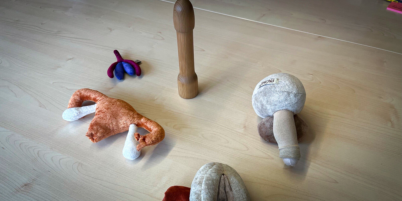 Material wéi en Holzpenis a Petzien a Form vu Genitalie gi benotzt fir mat de Jonken iwwer Hygiène a Kierperverännerungen ze schwätzen. | © Rick Mertens