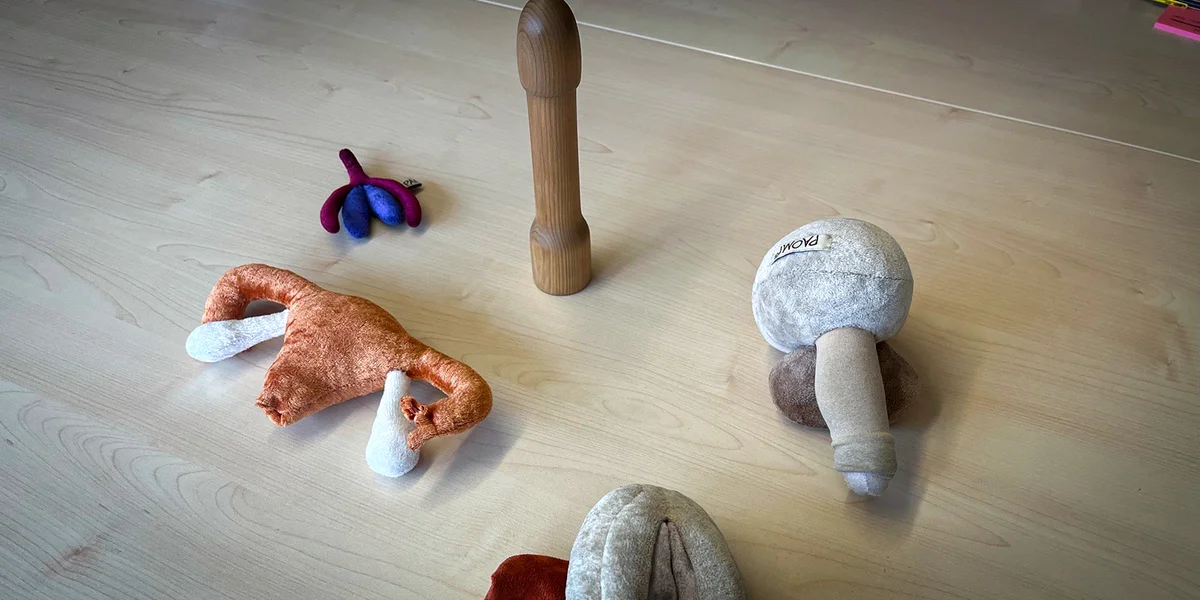 Material wéi en Holzpenis a Petzien a Form vu Genitalie gi benotzt fir mat de Jonken iwwer Hygiène a Kierperverännerungen ze schwätzen. | © Rick Mertens