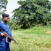 Demokratesch Republik Kongo féiert d'Doudesstrof nees an | © picture alliance / NurPhoto | Fiston Mahamba