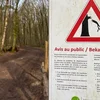 Risiko datt Äscht eroffalen: D'Stad Lëtzebuerg rifft d‘Leit op virsiichteg ze sinn | © Rick Mertens