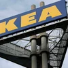 An Ikea-Miwwele gouf Holz aus geschützten europäesche Bëscher fonnt | © picture alliance / Norbert Schmidt | Norbert SCHMIDT