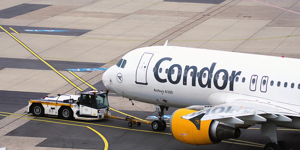 Condor | © Bigstock