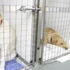 No Doud vu 5 Muppen an Hondspensioun: Veterinärs- a Liewensmëttelverwaltung enquêtéiert
