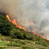 Bëschbränn op Madeira: Scho bal 4.400 Hektar Vegetatioun zerstéiert ginn | © picture alliance / imageBROKER | Ramesh Amruth