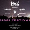 Biggi-Festival zu Wolz