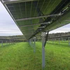 De Wirtschaftsministère lancéiert e weideren Appell fir Agri-Voltaikanlagen ze bauen | © Ana Angel