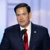 US-Medien: Marco Rubio soll neien Ausseminister ginn | © picture alliance / Consolidated News Photos | Ron Sachs - CNP for NY Post