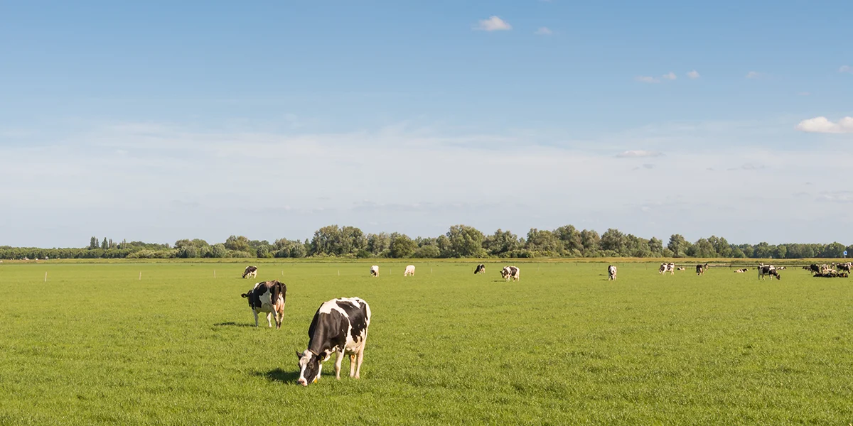 Wat seet d'Baueren-Allianz zu der Ried zur Lag vun der Natioun? | © Ruud Morijn/Adobe Stock