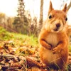 © Bigstock / Everst Aktioun Kaweechelchen | © Bigstock / Everst