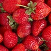 Eng Fruucht, déi de Summer ukënnegt | © Bigstock
