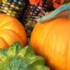 Mat Pumpkins den Hierscht gesond a kreativ genéissen | © Bigstock