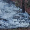 Bränn a Kalifornien: Puer Bränn geläscht, zolitte Wand gëtt sech nees erwaart | © picture alliance / NurPhoto | Jason Ryan