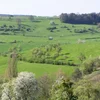 natur&ëmwelt: Reform vum Naturschutzgesetz stellt eng Gefor fir d'Natur duer