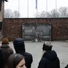 80. Joresdag vun der Befreiung vum KZ Auschwitz-Birkenau | © picture alliance / NurPhoto | Jakub Porzycki