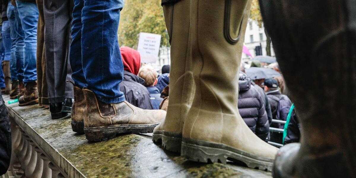 5 ans après le Brexit, les agriculteurs mitigés | © picture alliance / Photoshot | -