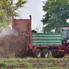 Lëtzebuerg huet e Problem mam Aartestierwen - Wéi eng Roll spillt d'Landwirtschaft? | © Bigstock