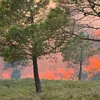 De Bëschbrand net wäit eweg vun Narbonne. | © Sécurité Civile