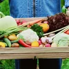 Wéi gesäit en normaalt a gesond Iessverhalen aus? | © Bigstock