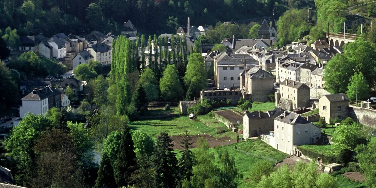 Jéinesch: Eng al Sprooch vu Lëtzebuerg, déi een ëmmer nees erëmfënnt | © dpa | Romain Fellens