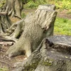 Deforestatiouns-Gesetz gelockert | © picture alliance / imageBROKER | Ulrich Rosenschild