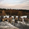 Militär aus 6 Länner um internationale Manöver an der Belsch | © Bataljon Jagers te Paard - Bataillon de Chasseurs à Cheval