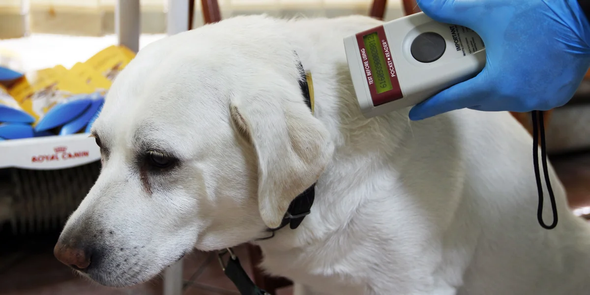  EPA/ANDRZEJ GRYGIEL POLAND OUT | ©  EPA/ANDRZEJ GRYGIEL POLAND OUT