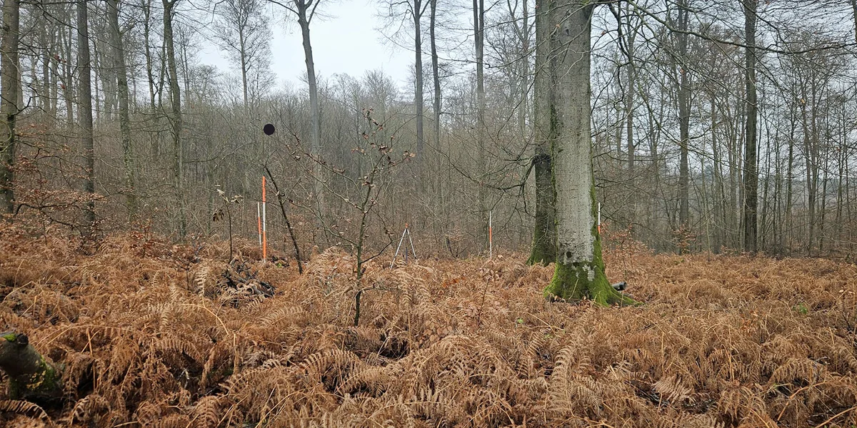 Eng Placette vun der ANF  | © Morgane Weidig