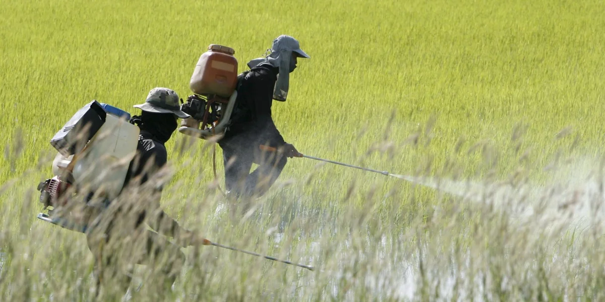 © EPA/BARBARA WALTON