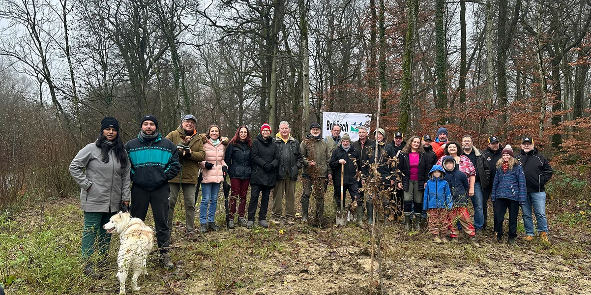 Nei Beem fir de Bobësch, déi dem Contournement zu Affer gefall sinn