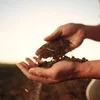 Europa Muer: Kann d’Europa vu muer d’Sécherheet bei der Ernärung garantéieren?