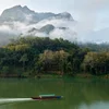 Postkaart aus Laos vum Guy Helminger (2) Dschungel