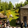 KOLL an Aktioun-Festival: Wat erwaart d'Leit dëse Weekend? | © Koll an Aktioun