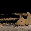 Entféierung Symbolbild | © picture alliance / imageBROKER | Ingeborg Knol