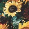 Den Opwand hannert enger Edward-Steichen-Expo fir den MNAHA am Ausland | © “Bouquet of Sunflowers" vum Edward Steichen