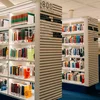 Finanziell Ënnerstëtzung fir Bibliothéiken: "Dem Staat feelt et u Courage" | © Adobe stock