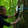 Film vun der Woch: "Silent Friend"
