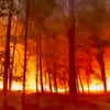 Bëschbrand an der Forêt de Fontainebleau: Et ginn Hiweiser op Brandstëftung | © La Place Du Village, Facebook