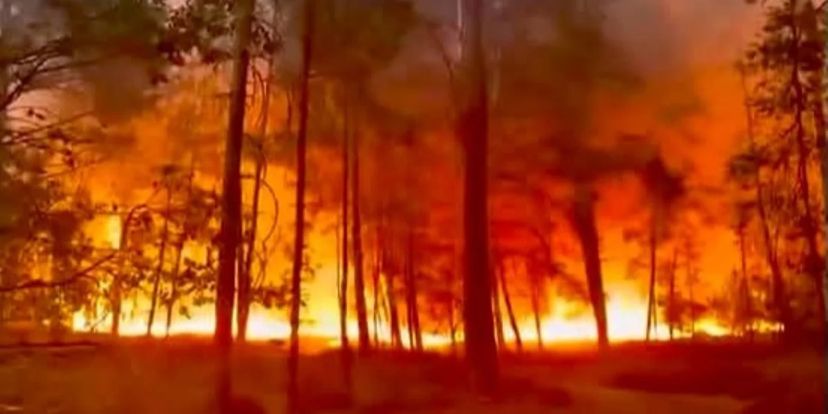 Bëschbrand an der Forêt de Fontainebleau: Et ginn Hiweiser op Brandstëftung | © La Place Du Village, Facebook