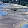 Däitsch Bunn wëllt 400 Gidderween asetze fir ronn 100 Banneschëffer ze ersetzen | © EPA/RONALD WITTEK