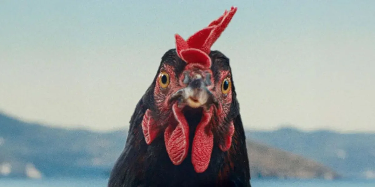 Film vun der Woch: "Hen"