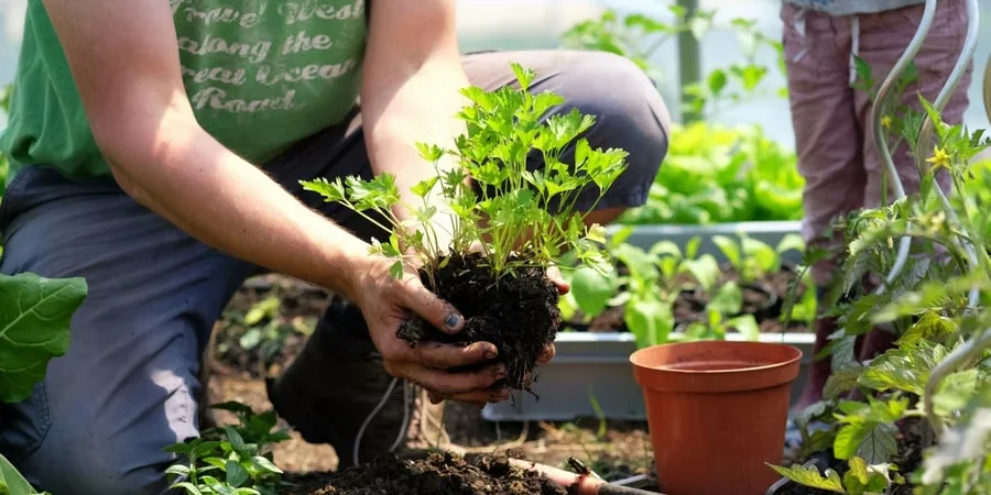 on the headlines