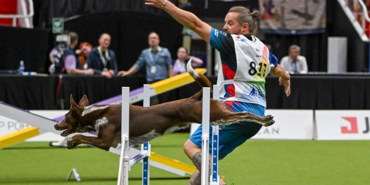 Vizeweltmeeschter am Agility