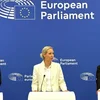 AfD-Visioun fir d’EU: Just nach eng Optioun fir "Raus aus dem Euro" | © picture alliance/dpa | Ann-Krisitn Wenzel