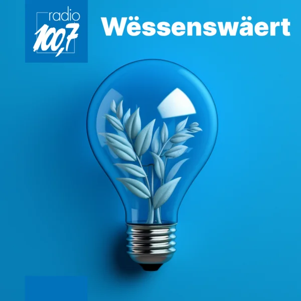 Wëssenswäert