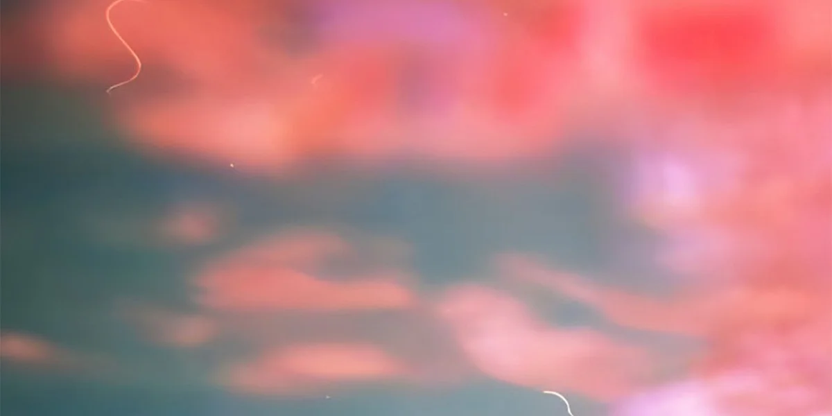 E-Lodie | © rohsrecords.bandcamp.com