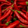 Sinn hot Chilis och Fatburner? | © Bigstock / AllaBond